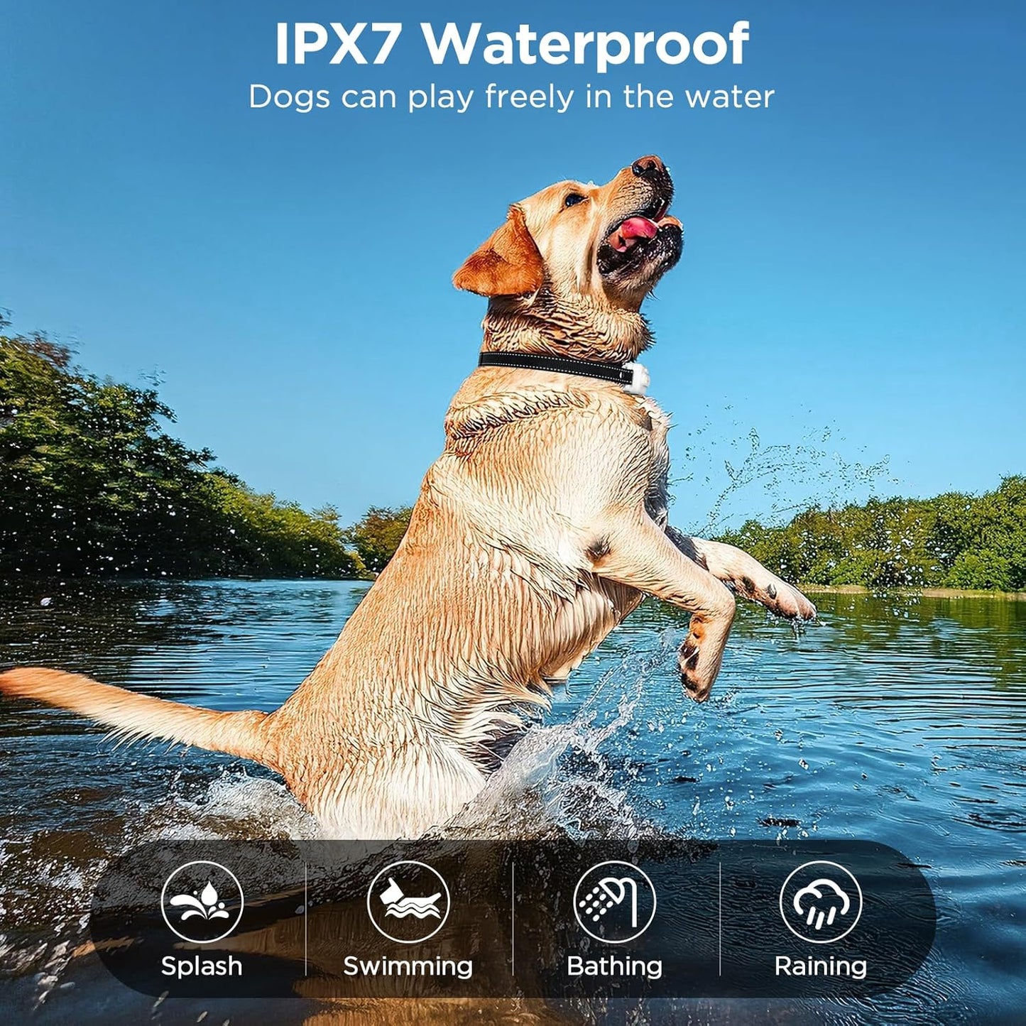 Dog Training Collar with Remote, 3300ft Range Shock Collar for Small, Medium, Large Dogs (8–120 lbs), IPX7 Waterproof, Rechargeable, with Beep, Vibration, Safe Shock & Light Modes