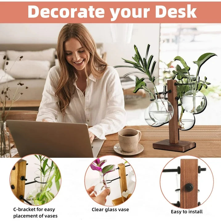 Plant Terrariums Kit Desktop Hydroponics Air Planter Holder with 4 Bulb Beaker Glass Vase and Solid Wood Stand for Home Office Decoration